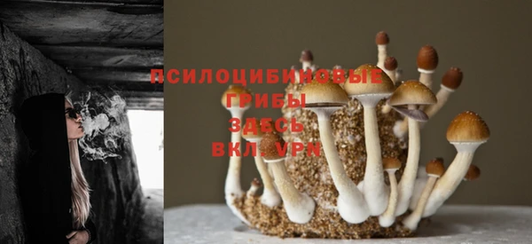 mix Лагань