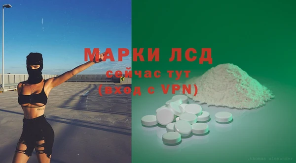 сатива Зерноград