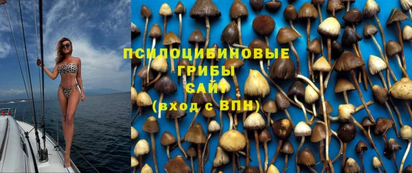 СК Ладушкин
