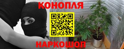 спайс Беслан