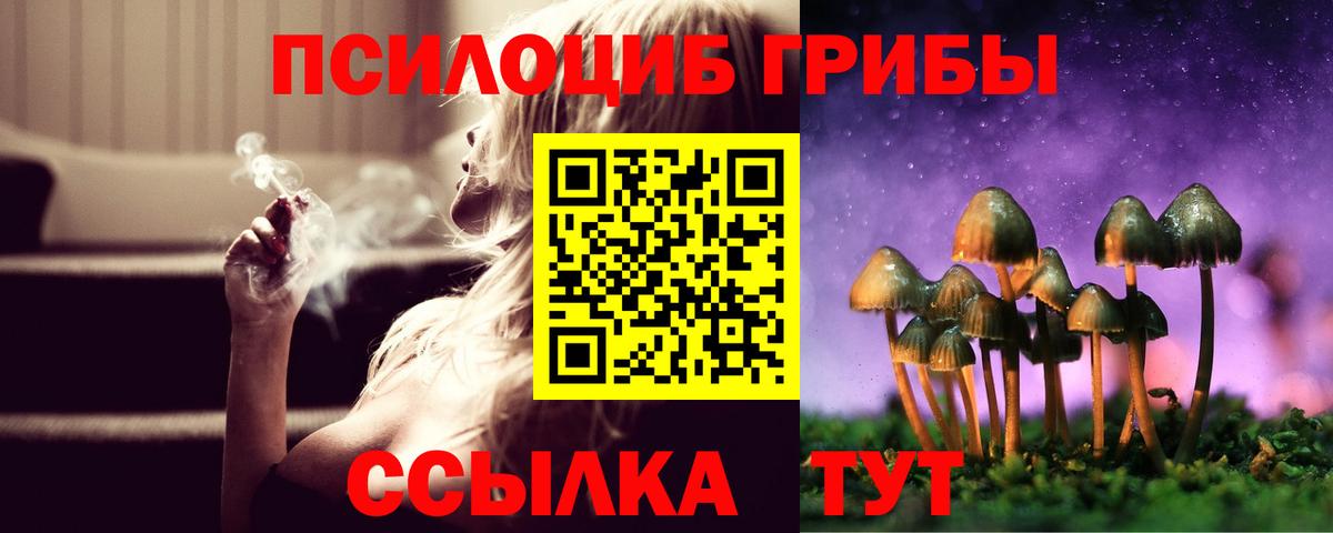 Псилоцибиновые грибы мухоморы Димитровград